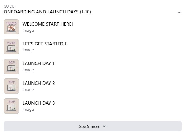 Amare team launch plan